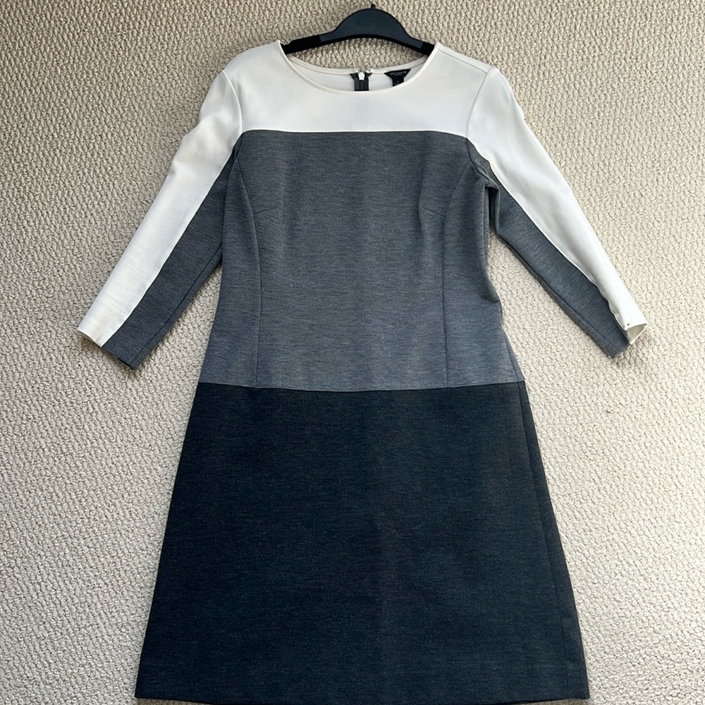 Ann Taylor Colour Block Dress Size 2